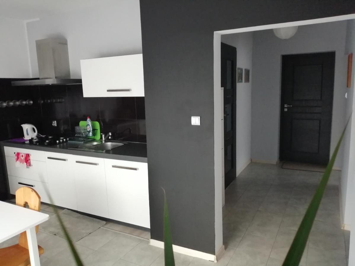 Mieszkanie U Zofii - N.d Apartment *